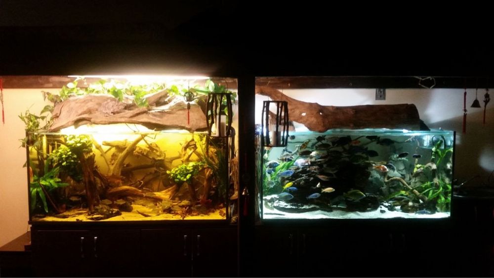 Акваріум Природа 525 л 150х50х70 + фільтр Fluval x5 з підставкою