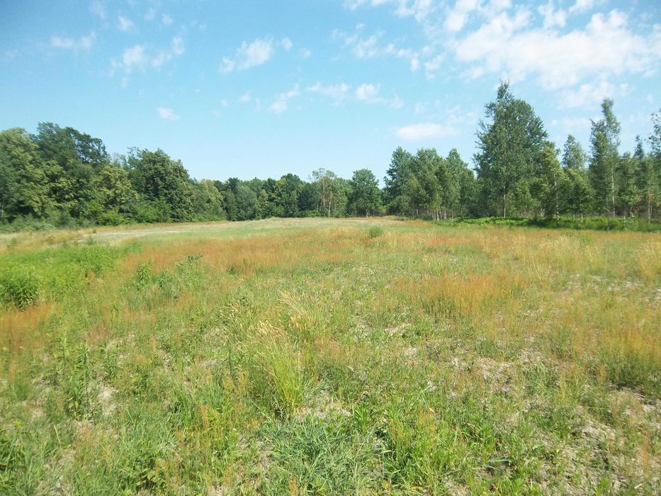 Продам приватизовану земельну ділянку