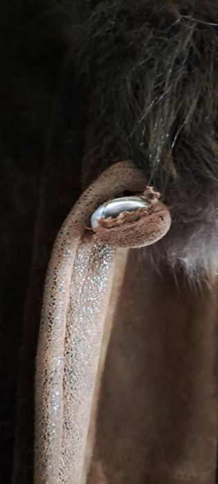 Kurtka Kożuch skóra naturalna brąz
