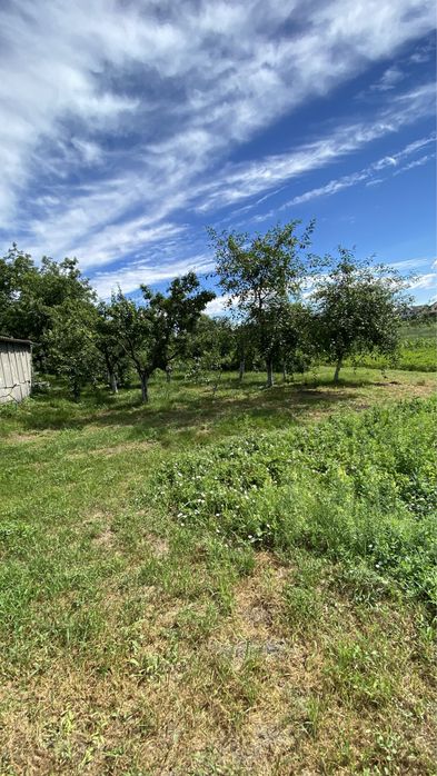 Хатинка + Струмок, с. Красне Перше, м. Обухів 3км, м. Київ 35км.