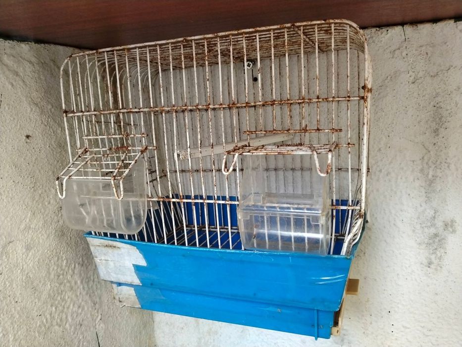 Vendo vários viveiros e gaiolas ver anúncio obrigado