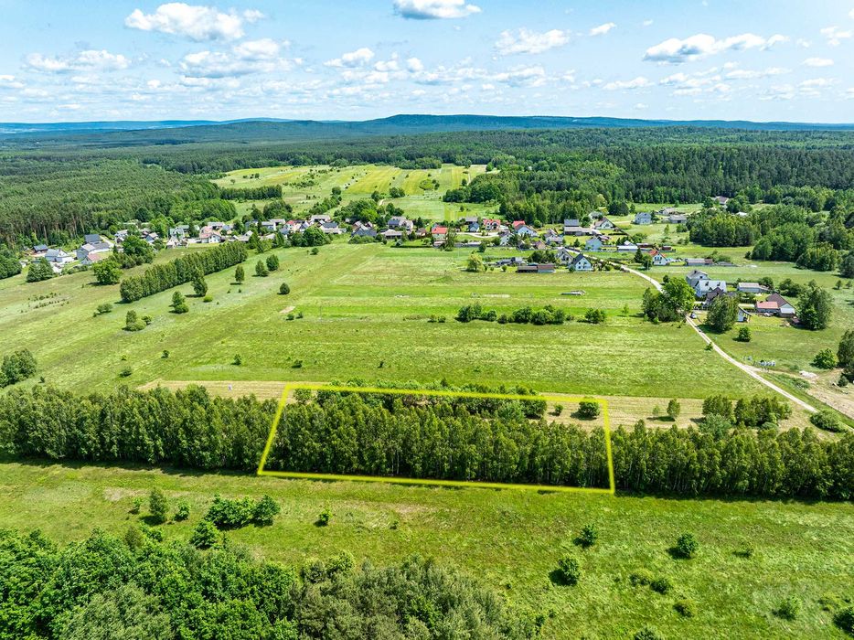 Działka BUDOWLANA o pow. 1251m2 okolice BORKOWA - 20 minut od KIELC