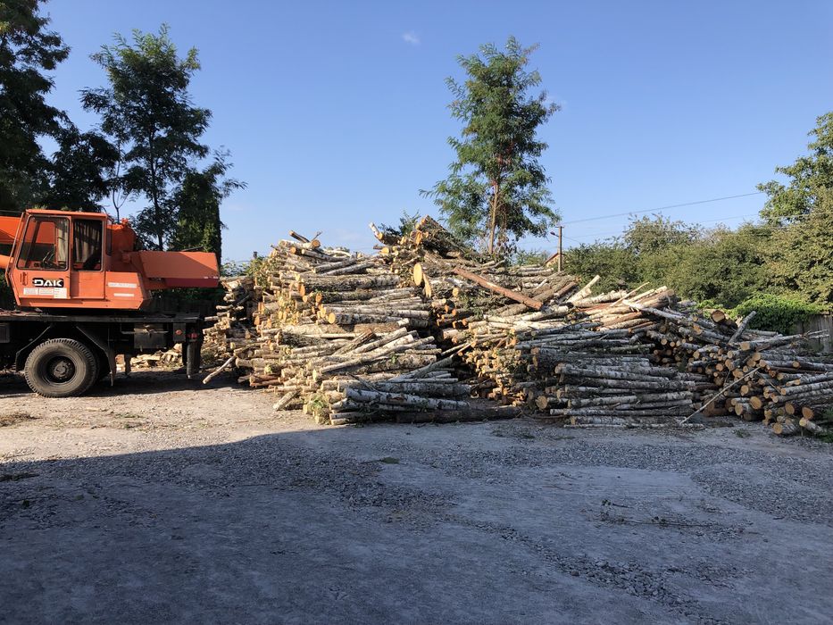 Продаж дров гурт/опт