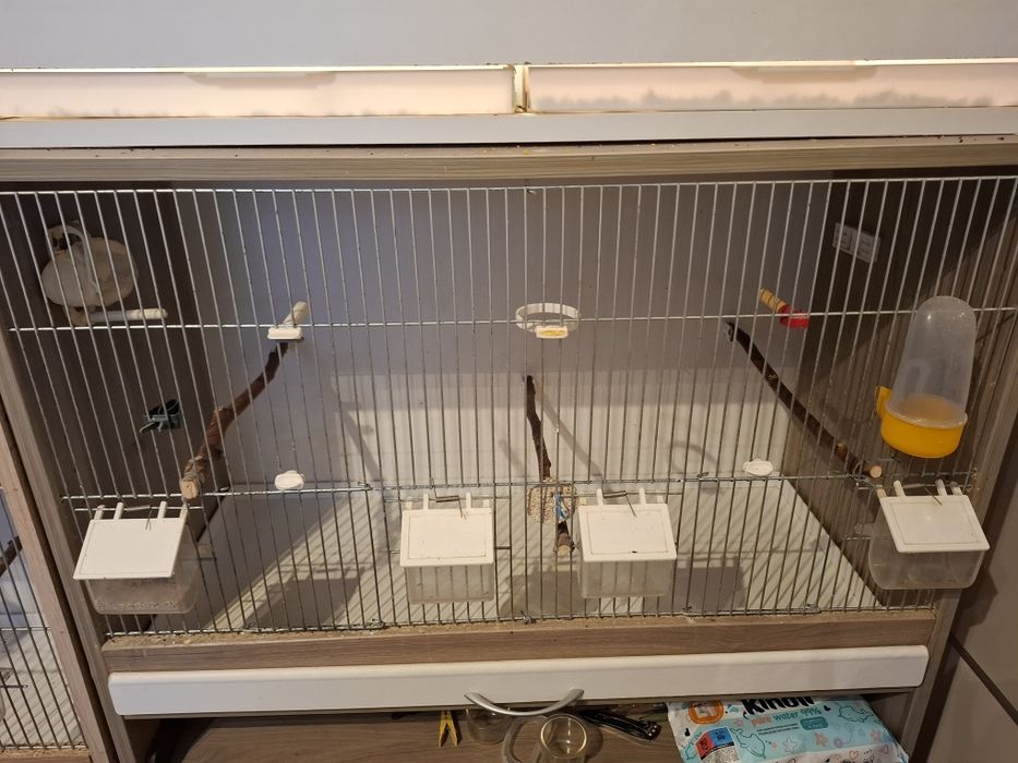 Trzy regały dla ptaków, akcesoria, karma