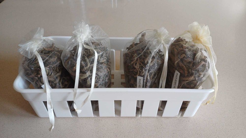 Chá de Limonete ou Lúcia Lima