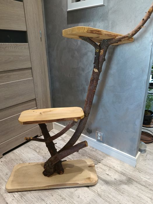 Drapak dla kota na balkon naturalny pień drzewo drzewko