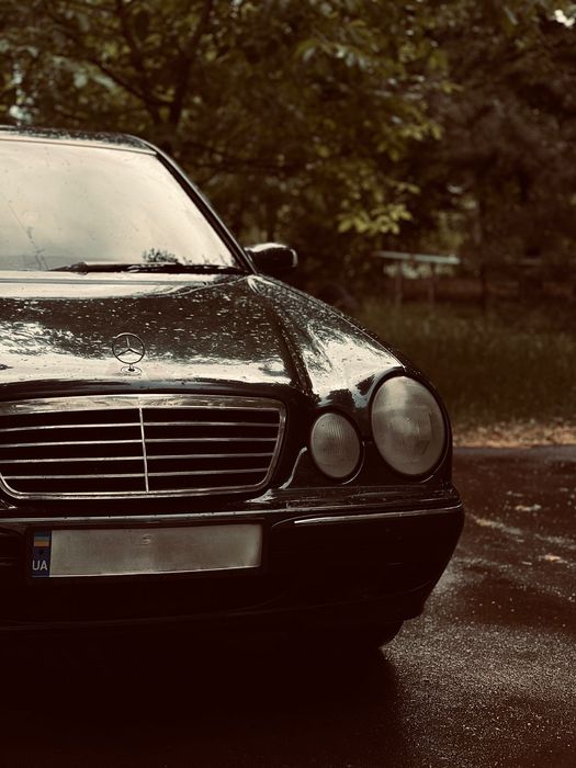 Продам живий  w210