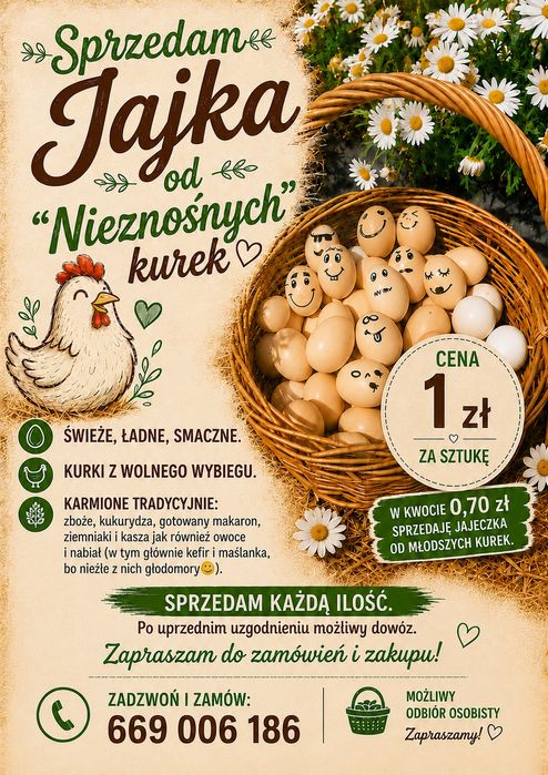Jajka od "Nieznośnych"  Kurek