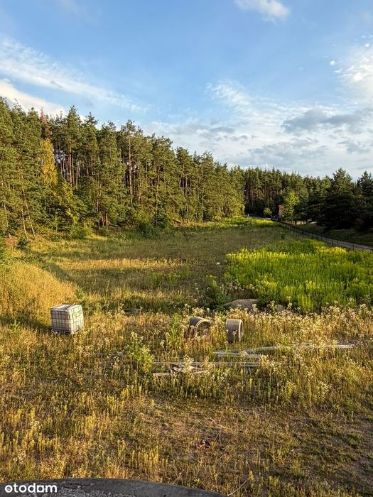 Dom na dużej działce 13 416 m² | Stężyca | blisko jeziora