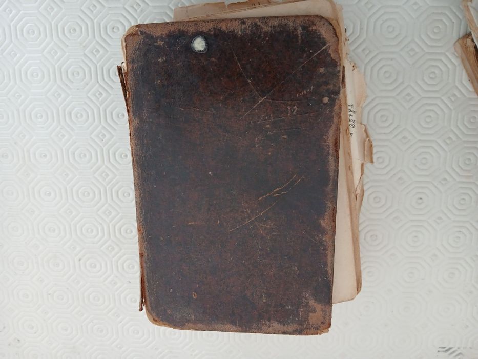 Dicionário de Língua Portuguesa