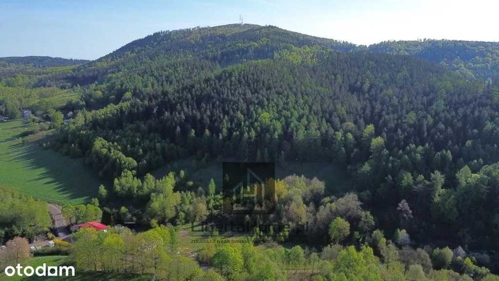 Dzialki budowlane 60zl/m2 Boguszow Chełmie Mniszek bez Prowizji 4367m2