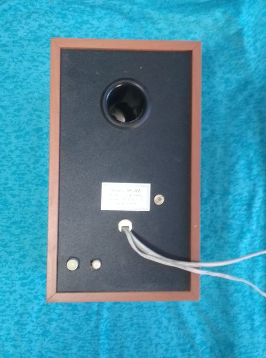 Колонка до комп'ютер