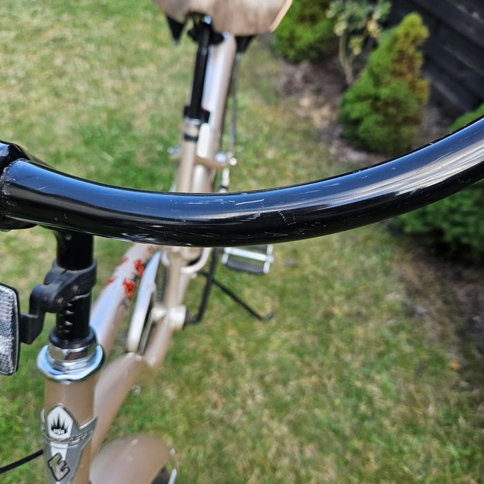 Rower miejski Electra Rosie