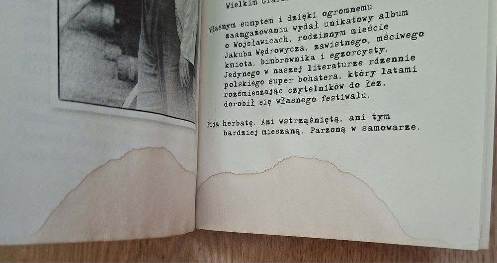 Kroniki Jakuba Wędrowycza