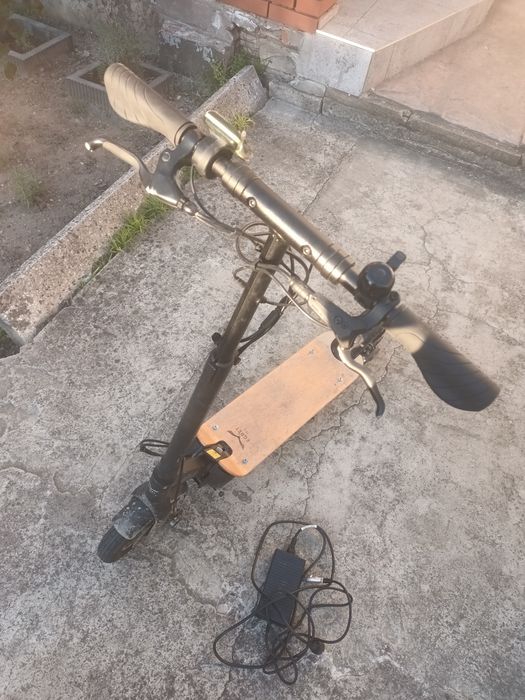 Hulajnoga elektryczna egret ten