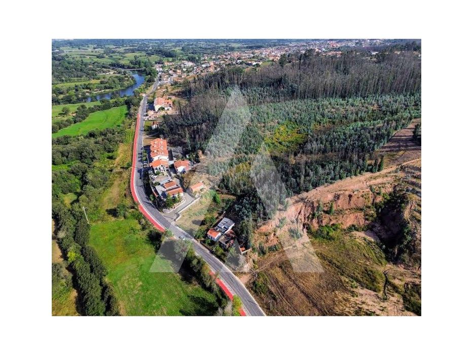 Terreno com 11.000 m² em Frossos - Albergaria-a-Velha