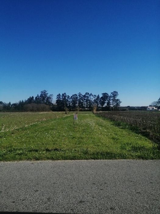 Vendo terreno rústico