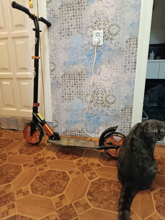 самокат двухколесний складний