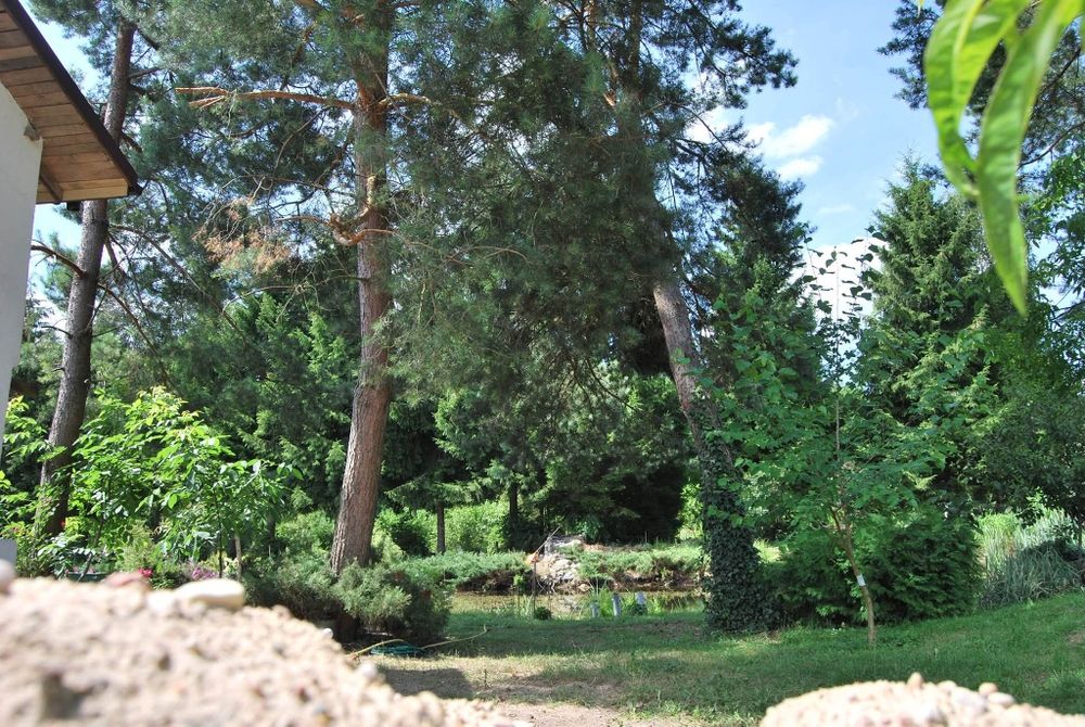 Noclegi nad jeziorem, Ełk