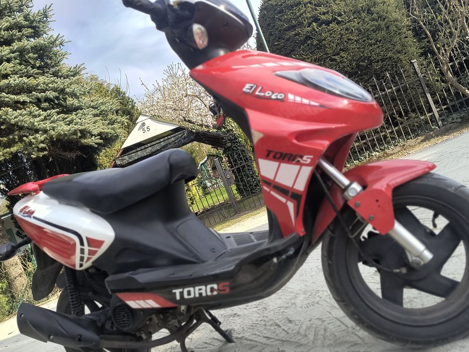 Toros EL Loco 50