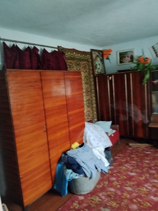 Продам будинок в селі літиня