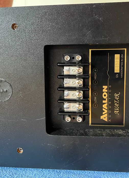 Avalon Avatar kolumny podłogowe