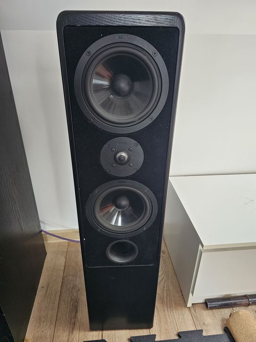 Wieża Technics w szafce i kolumny Canton Ergo