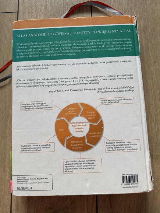 Atlas anatomii człowieka Sobotta Głowa, szyja i układ nerwowy