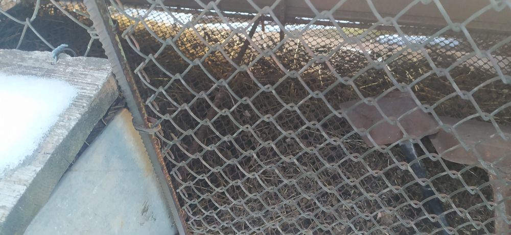 Продам металлические клетки для разведения кроликов или нутрий.