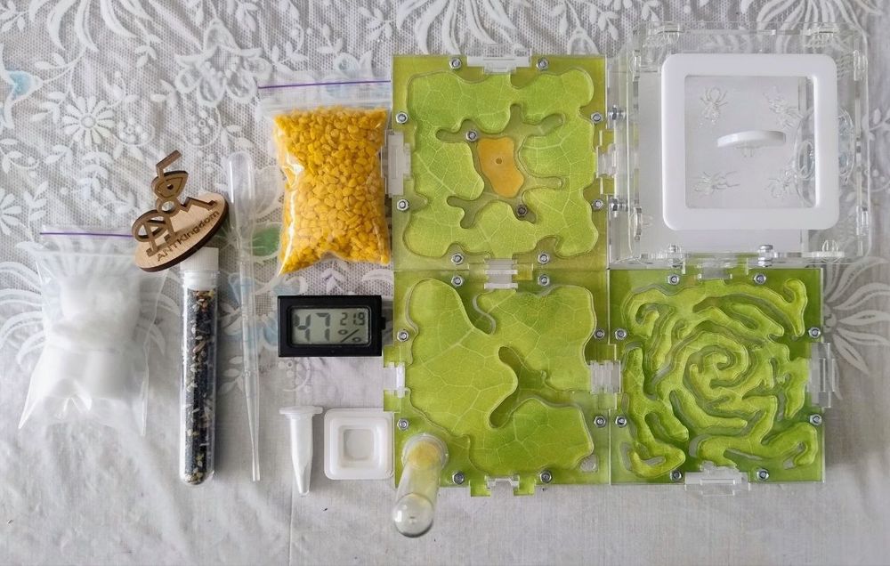 Формікарій для мурах