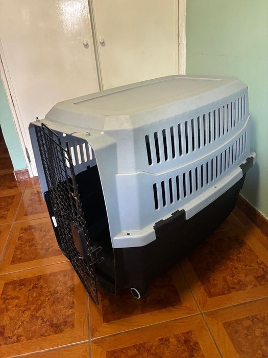 Transportadora para cão
