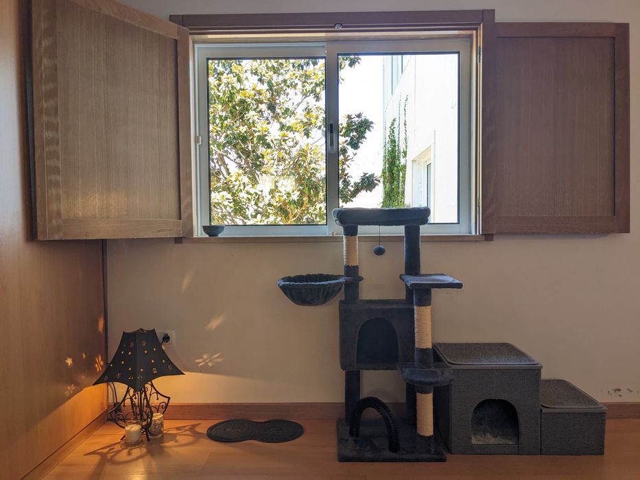 CAT HOTEL. Hotel para gatos. Hospedagem Familiar para Gatos