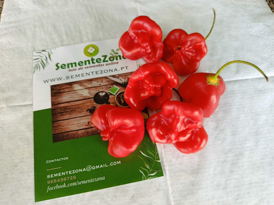 Kit (Sementes) 12 Variedades de Pimentas Picantes