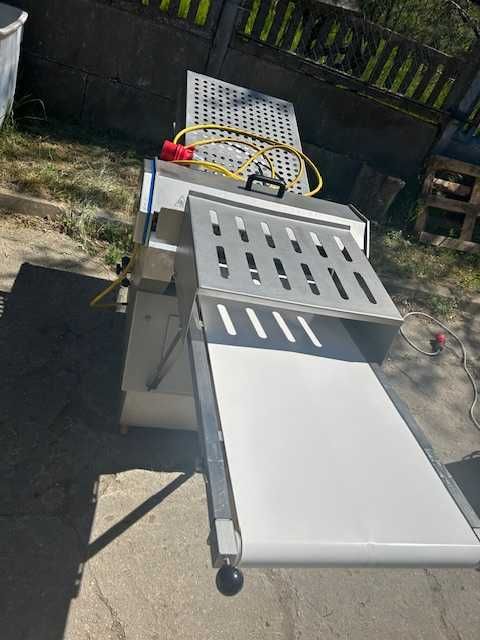 Skórowaczka Grasseli dwutaśmowa