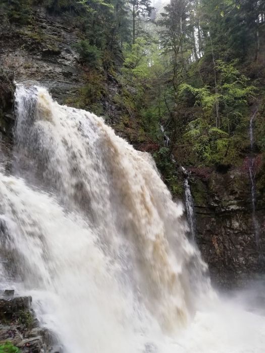 Перевезення до Манявського водоспаду на зілах 131