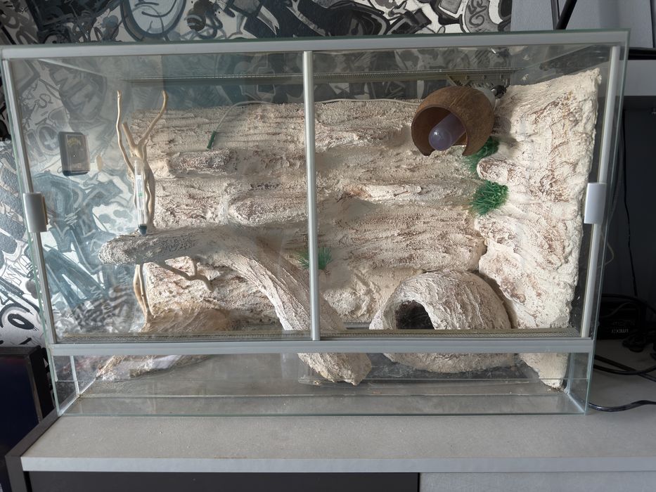 Terrarium 60x40x30 z wyposażeniem