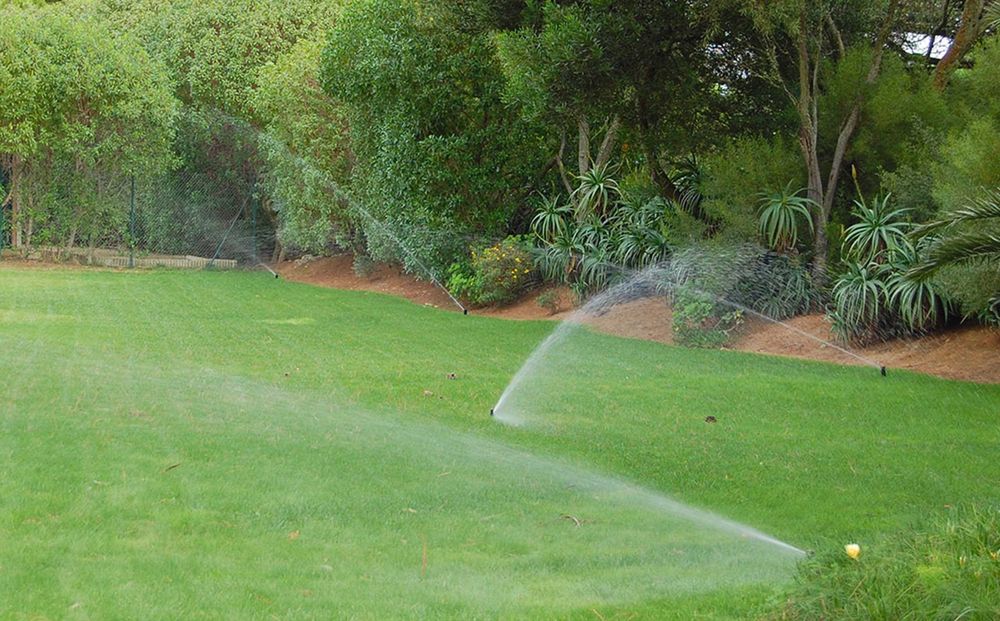 Jardineiro particular