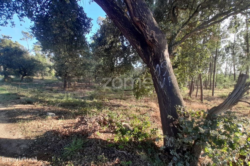 Terreno Rustico