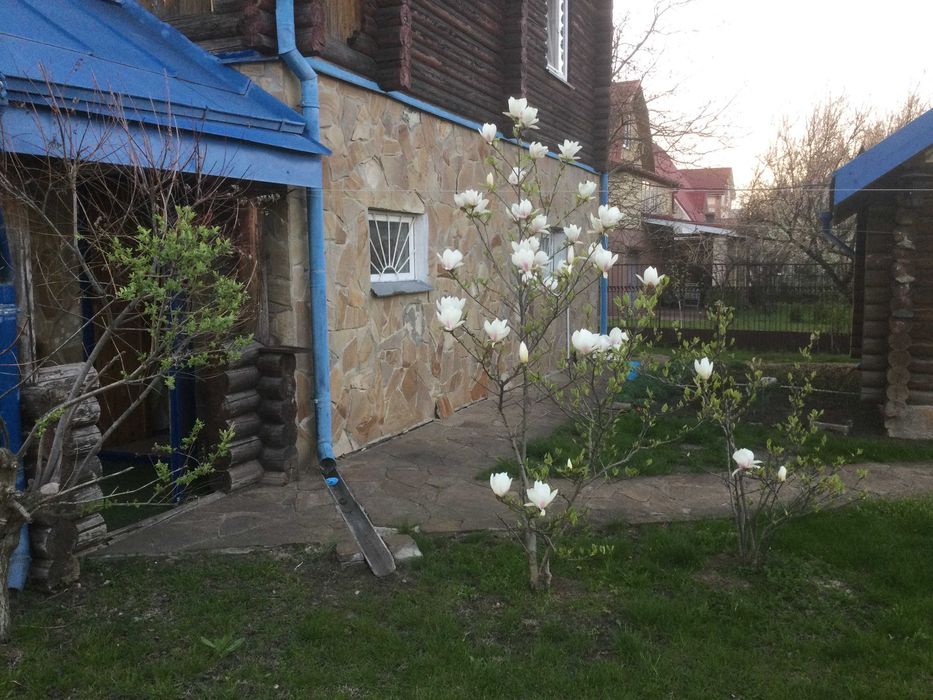 Здається в оренду великий деревяний будинок. Вишеньки.