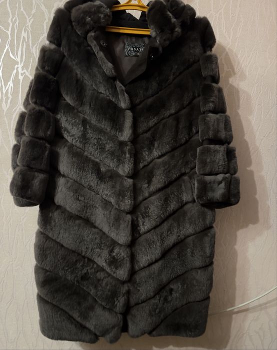 Шиншилловий кролик Рекс