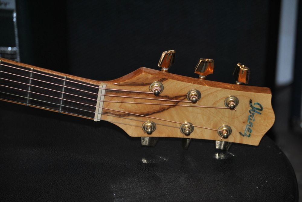 Ibanez EW35ABE Exotic Wood (Como nova)