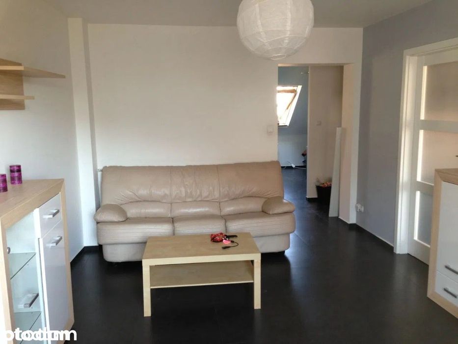Bezposrednio do wynajecia jasne ciche 56m2 w centrum pestalozziego