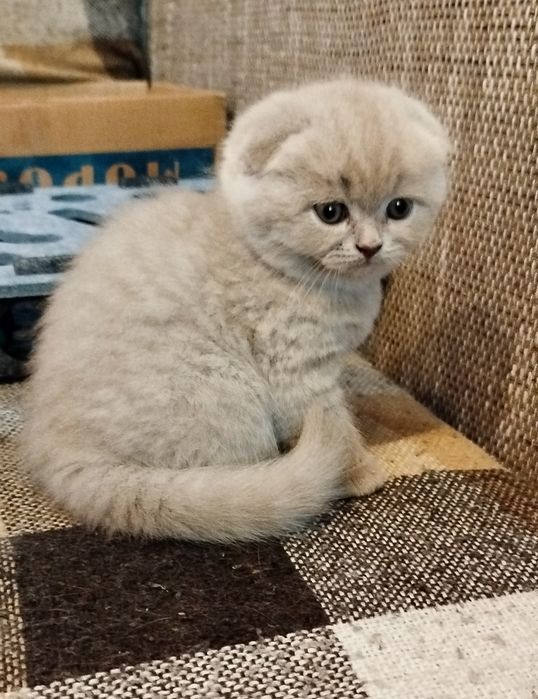 Клубочки щастя...