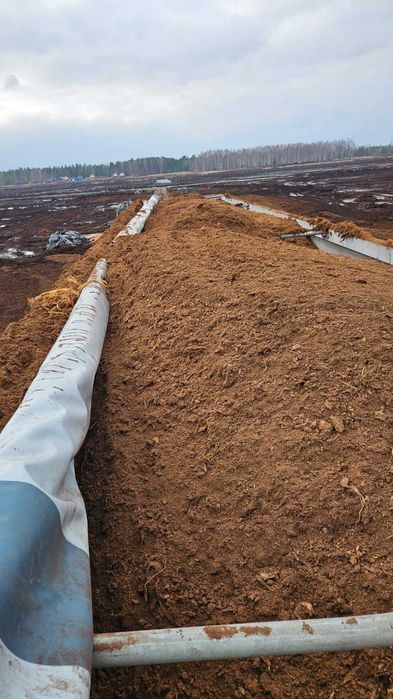 TORF kwaśny wysoki Litewski i Łotewski - borówka | LUZ | BIGBALE