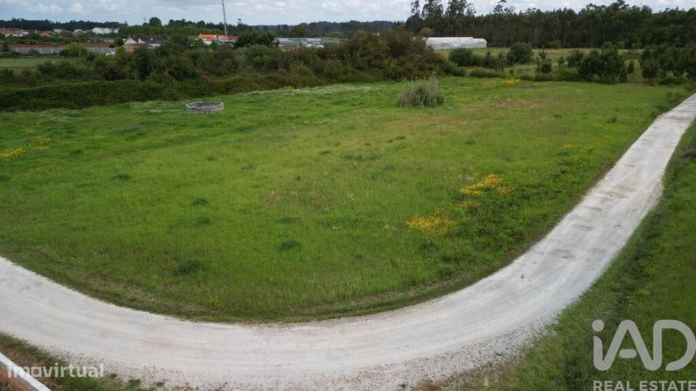 Terreno Agrícola em Vagos e Santo António