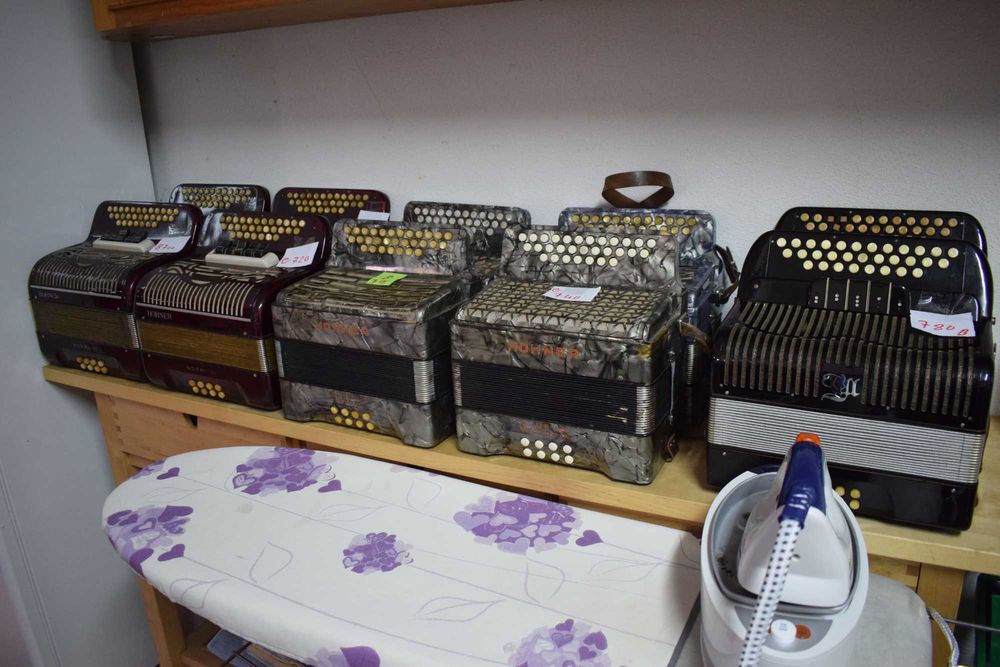 Concertinas para venda em lote de 10 São Pedro Do Sul, Várzea E Baiões