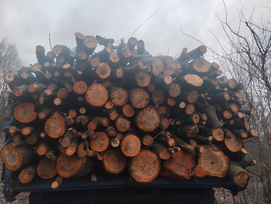 Продам дрова твердых/мешаных пород