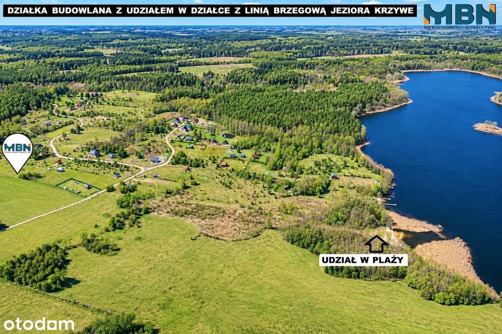 Działka budowlana |udz. w linii brzeg. jez. Krzywe - Widok 3