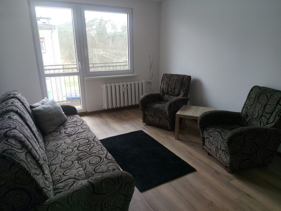 mieszkanie do wynajęcia