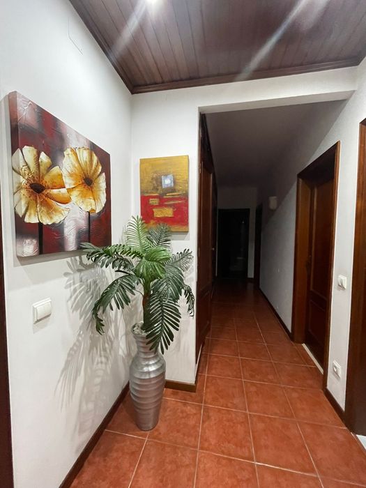 Quarto para Estudante- 300mt Escola de Enfermagem